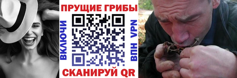 Галлюциногенные грибы Magic Shrooms  Холмск 